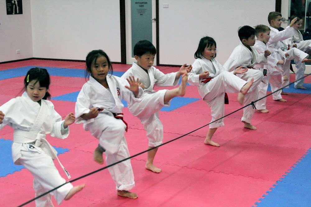 Best Martial Arts For 4-12 Year Old