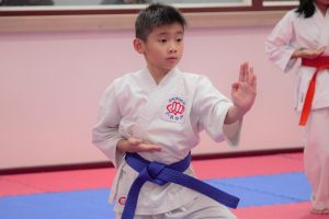 Martial Arts For Kids Kensington