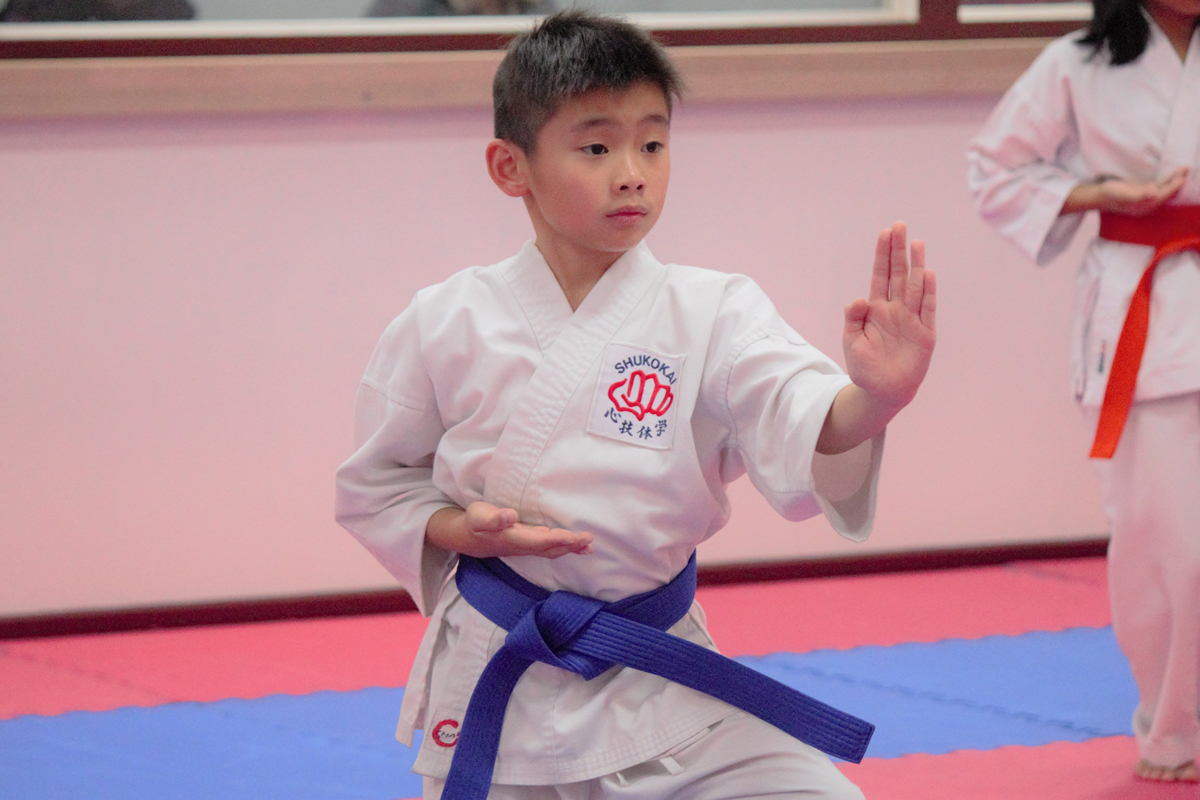 Martial Arts For Kids Kensington