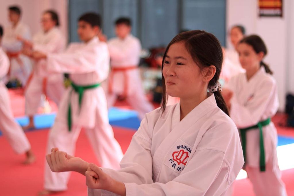 Martial Arts for Adults Waverley