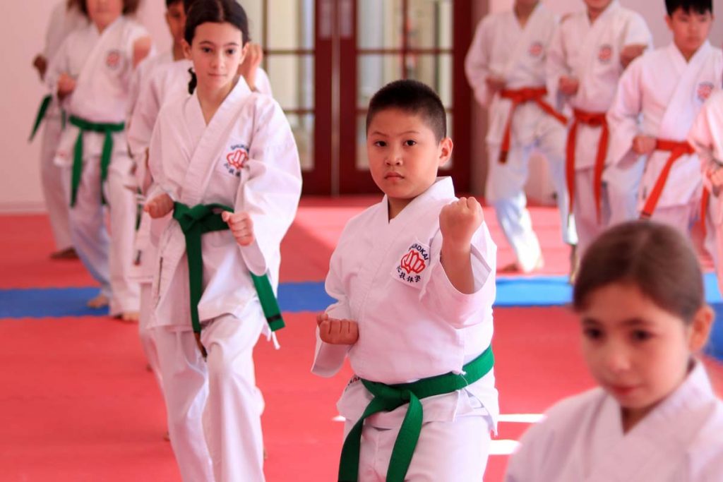 Martial Arts For Kids Waverley