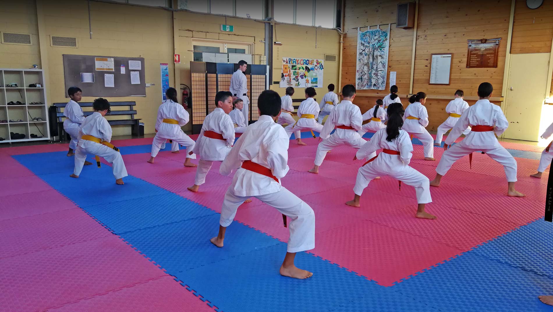 Waverley Karate Clubs | Self Defence Classes | Martial Arts for Adults