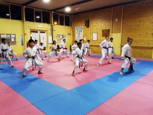 Martial Arts For Kids Waverley