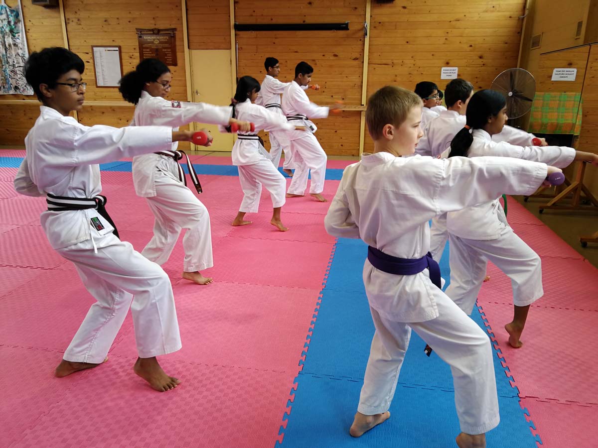 Waverley Karate Clubs | Self Defence Classes | Martial Arts for Adults