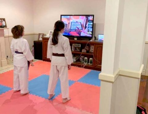 karate online classes