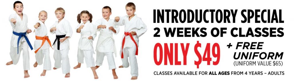 Introductory Program